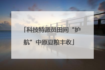 科技特派员田间“护航”中原夏粮丰收