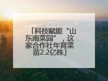 科技赋能“山东南菜园”，这家合作社年育菜苗2.2亿株