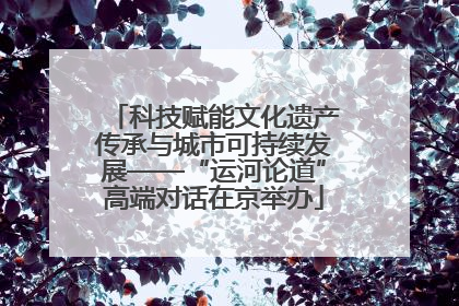 科技赋能文化遗产传承与城市可持续发展——“运河论道”高端对话在京举办