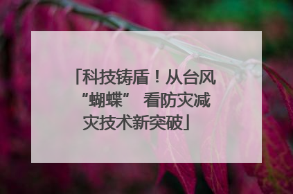 科技铸盾！从台风“蝴蝶” 看防灾减灾技术新突破