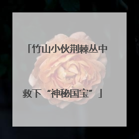 竹山小伙荆棘丛中救下“神秘国宝”
