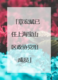章宏斌已任上海宝山区政协党组成员