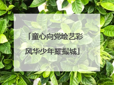 童心向党绘艺彩 风华少年耀撮城