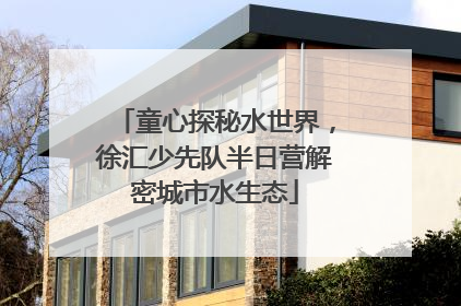 童心探秘水世界，徐汇少先队半日营解密城市水生态