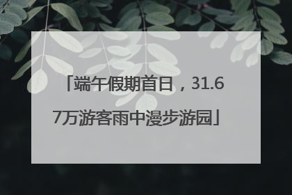 端午假期首日，31.67万游客雨中漫步游园