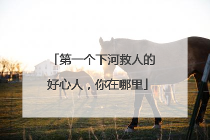 第一个下河救人的好心人，你在哪里