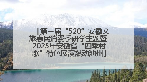 第三届“520”安徽文旅惠民消费季研学主题暨 2025年安徽省“四季村歌”特色展演燃动池州