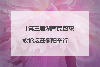 第三届湖南民盟职教论坛在衡阳举行