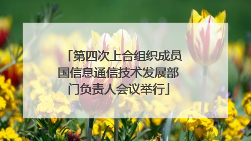 第四次上合组织成员国信息通信技术发展部门负责人会议举行