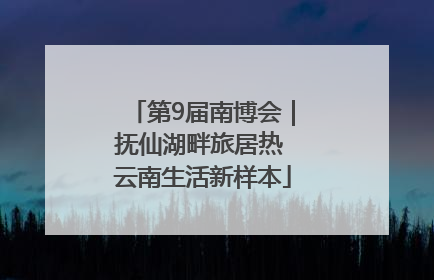 第9届南博会｜抚仙湖畔旅居热 云南生活新样本