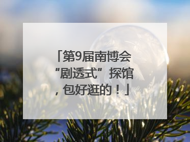第9届南博会“剧透式”探馆，包好逛的！
