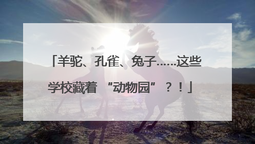 羊驼、孔雀、兔子……这些学校藏着 “动物园”？！