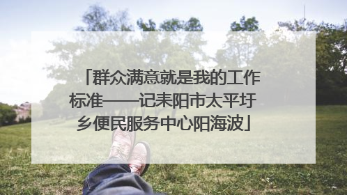 群众满意就是我的工作标准——记耒阳市太平圩乡便民服务中心阳海波