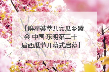 群星荟萃共襄瓜乡盛会 中国·东明第二十届西瓜节开幕式启幕