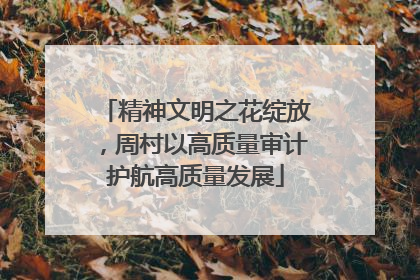 精神文明之花绽放，周村以高质量审计护航高质量发展