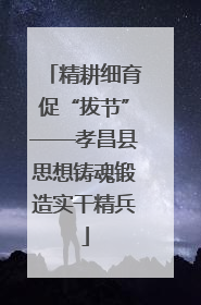 精耕细育促“拔节”——孝昌县思想铸魂锻造实干精兵