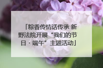 粽香传情话传承 新野法院开展“我们的节日・端午”主题活动