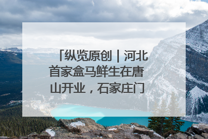 纵览原创｜河北首家盒马鲜生在唐山开业，石家庄门店预计8月开业