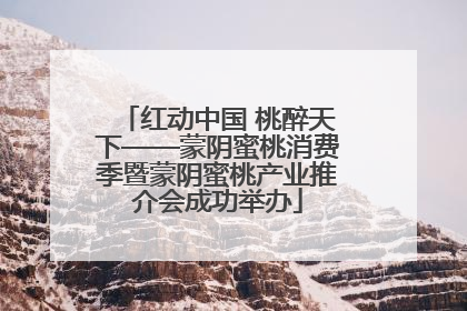 红动中国 桃醉天下——蒙阴蜜桃消费季暨蒙阴蜜桃产业推介会成功举办