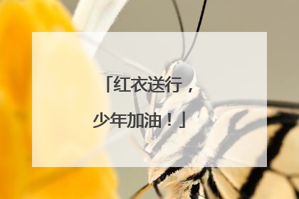 红衣送行，少年加油！
