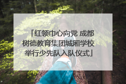 红领巾心向党 成都树德教育集团城厢学校举行少先队入队仪式