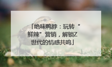 绝味鸭脖：玩转“鲜辣”营销，解锁Z世代的情感共鸣