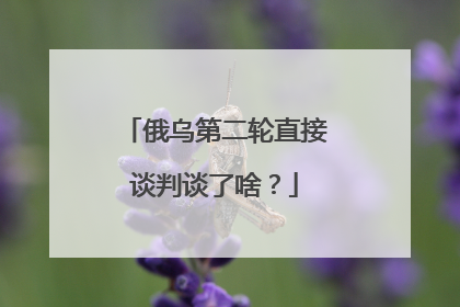 俄乌第二轮直接谈判谈了啥？