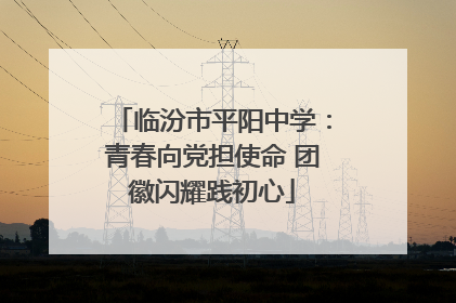 临汾市平阳中学：青春向党担使命 团徽闪耀践初心