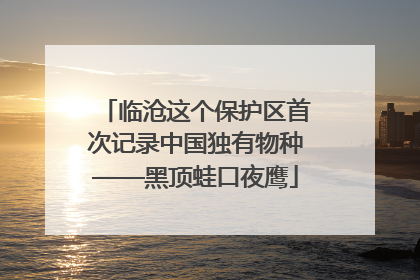 临沧这个保护区首次记录中国独有物种——黑顶蛙口夜鹰