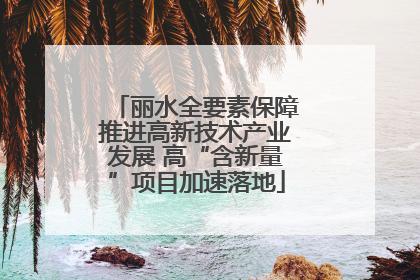 丽水全要素保障推进高新技术产业发展 高“含新量”项目加速落地