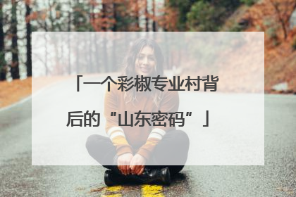 一个彩椒专业村背后的“山东密码”