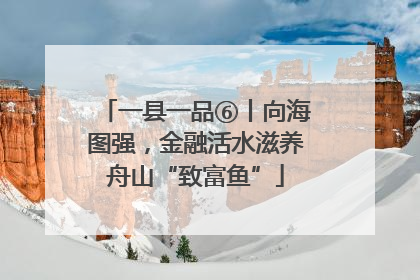 一县一品⑥丨向海图强，金融活水滋养舟山“致富鱼”