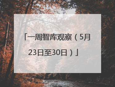 一周智库观察（5月23日至30日）