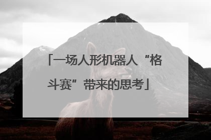 一场人形机器人“格斗赛”带来的思考