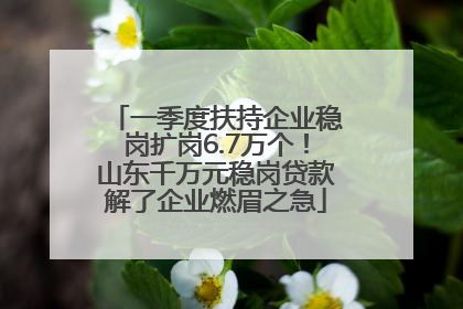 一季度扶持企业稳岗扩岗6.7万个！山东千万元稳岗贷款解了企业燃眉之急