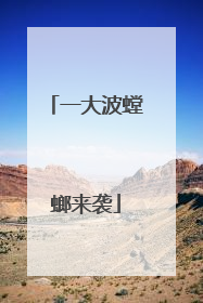 一大波螳螂来袭
