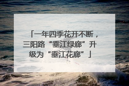 一年四季花开不断，三阳路“垂江绿廊”升级为“垂江花廊”