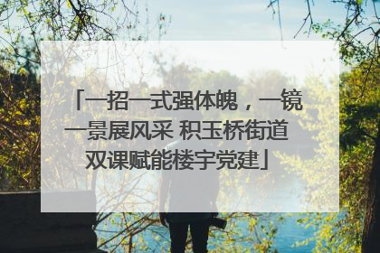 一招一式强体魄，一镜一景展风采 积玉桥街道双课赋能楼宇党建