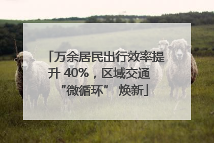 万余居民出行效率提升 40%，区域交通 “微循环” 焕新