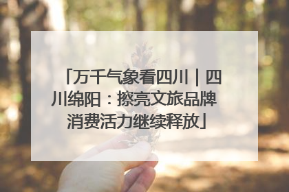 万千气象看四川｜四川绵阳：擦亮文旅品牌 消费活力继续释放