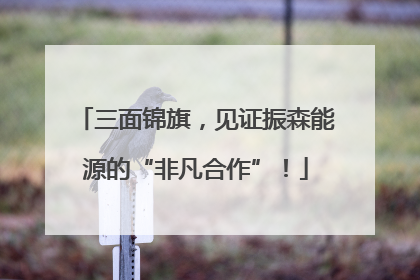 三面锦旗，见证振森能源的“非凡合作”！