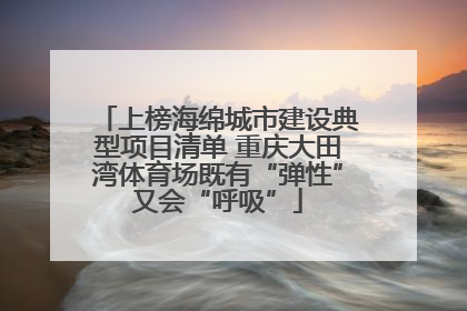 上榜海绵城市建设典型项目清单 重庆大田湾体育场既有“弹性”又会“呼吸”
