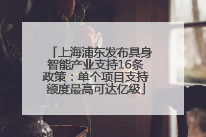 上海浦东发布具身智能产业支持16条政策：单个项目支持额度最高可达亿级
