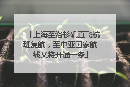 上海至洛杉矶直飞航班复航，至中亚国家航线又将开通一条