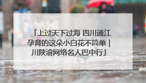 上过天下过海 四川通江孕育的这朵小白花不简单｜川陕渝网络名人巴中行