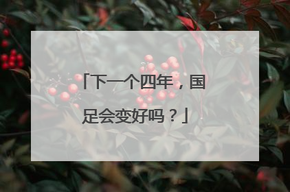下一个四年，国足会变好吗？