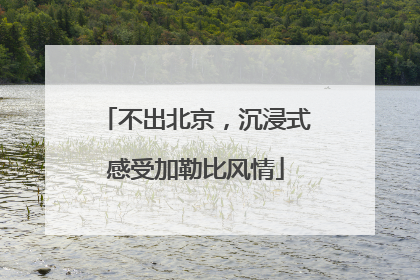 不出北京，沉浸式感受加勒比风情