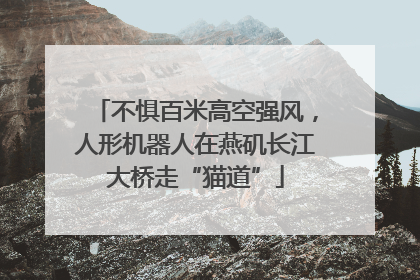 不惧百米高空强风，人形机器人在燕矶长江大桥走“猫道”