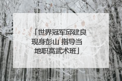 世界冠军邱建良现身彭山 指导当地职高武术班