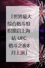 世界最大综合格斗组织重启上海站 UFC格斗之夜8月上演
